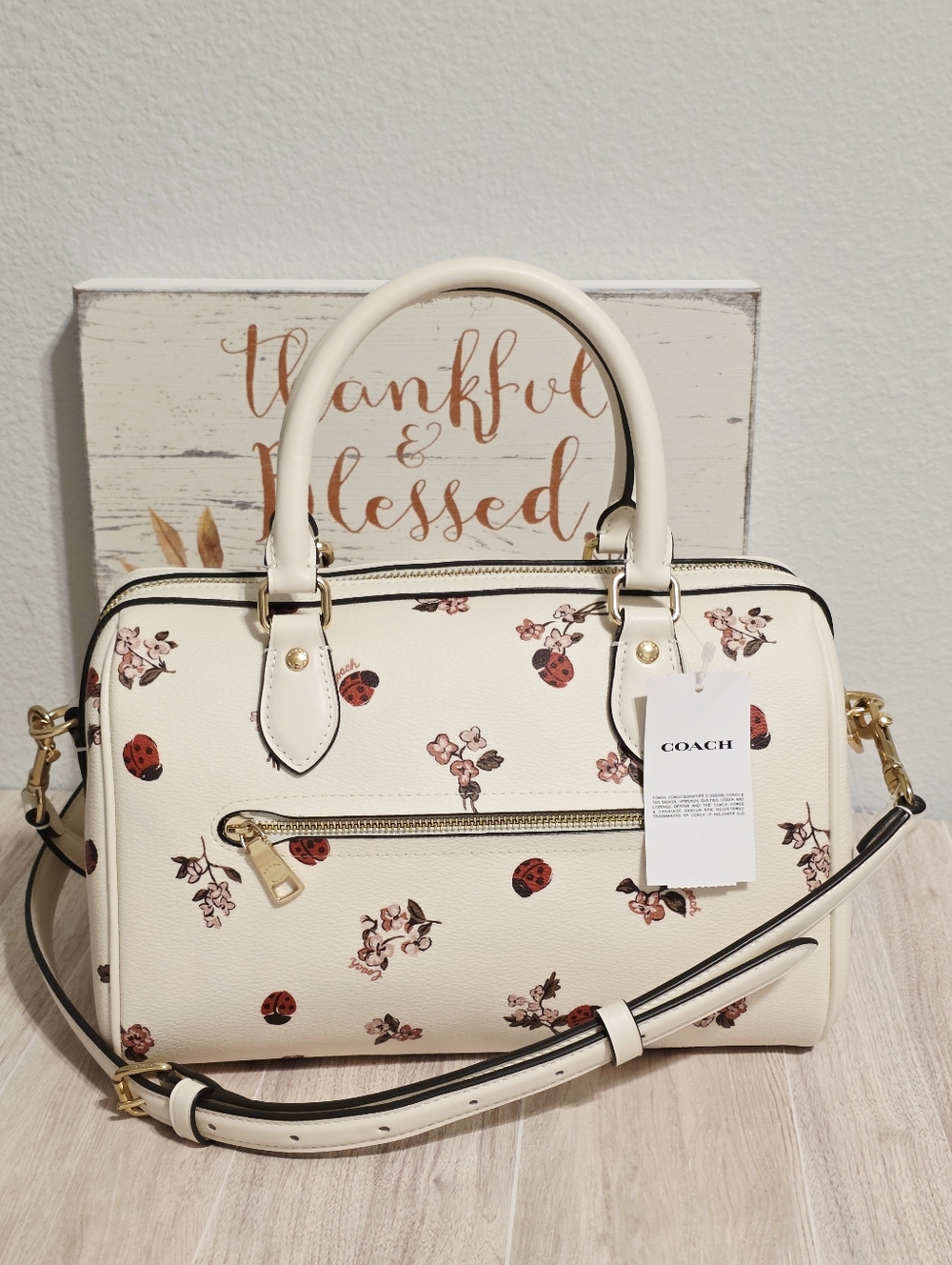Coach RARE Rowan MEDIUM Crossbody Chalk Ladybug Floral + gold Coach C charm ๐๐ - Picture 7 of 16